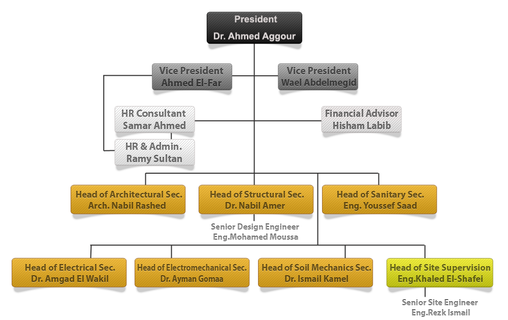 Consultant Organization Chart