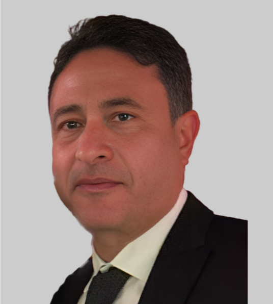 Eng. Wael Aggour